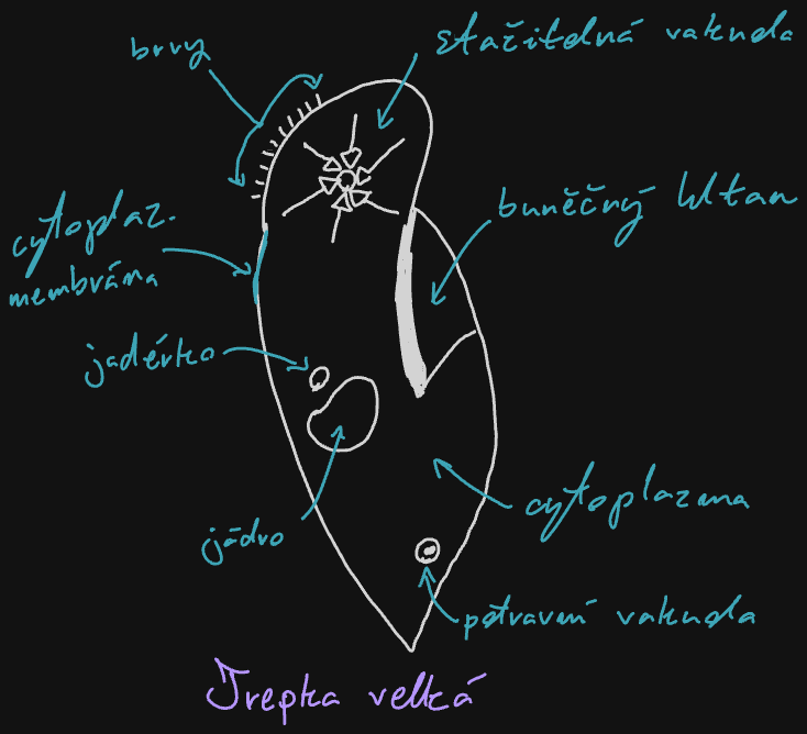Assets/Drawing 2026-09-18 07.45.02.excalidraw.png